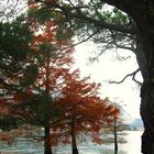 Autunno sul lago