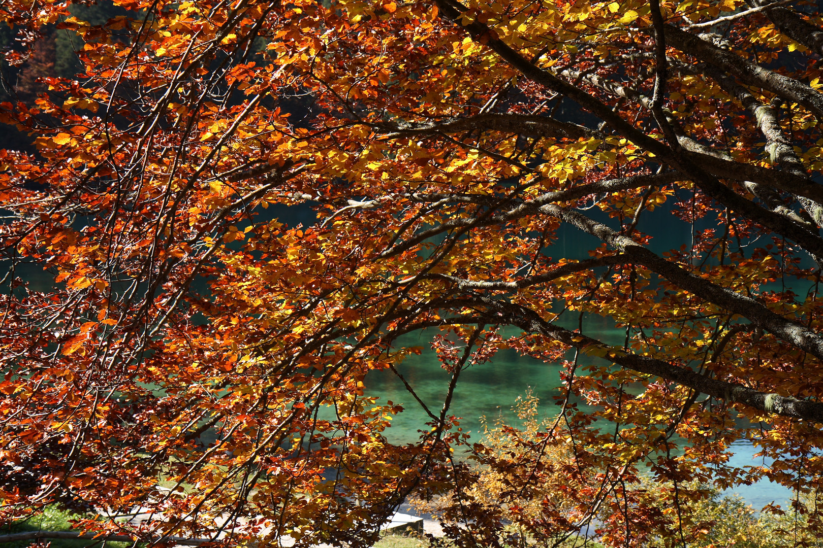 autunno sul lago di Fusine