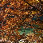 autunno sul lago di Fusine