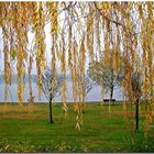 AUTUNNO SUL LAGO DI MANTOVA