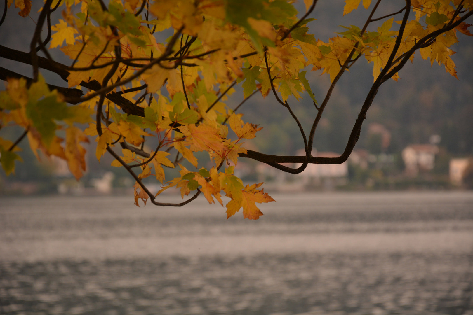 Autunno sul lago