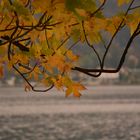 Autunno sul lago