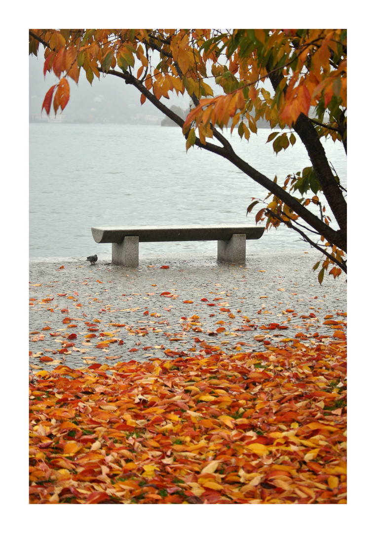 Autunno sul Lago Maggiore