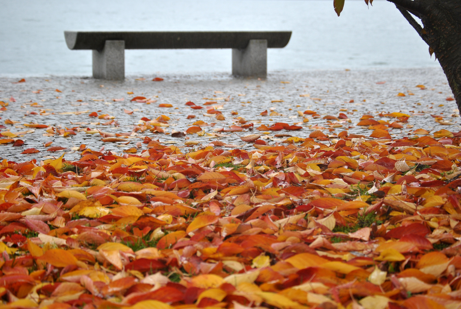 Autunno sul Lago Maggiore