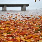 Autunno sul Lago Maggiore