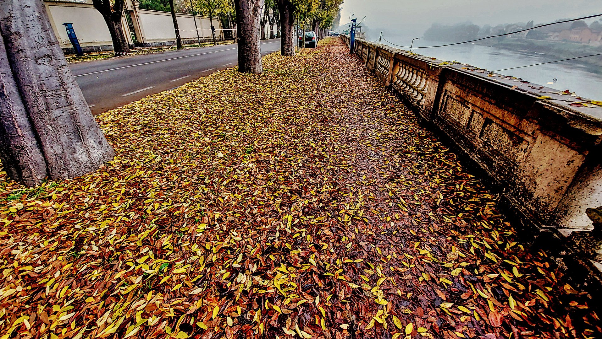 Autunno sul lungo Ticino