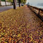 Autunno sul lungo Ticino