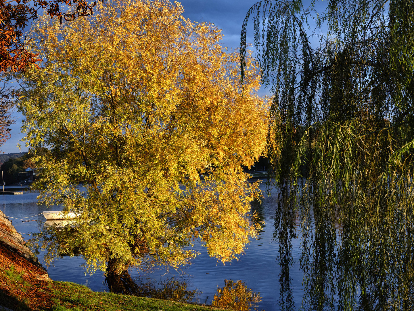 Autunno sul Ticino