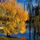 Autunno sul Ticino