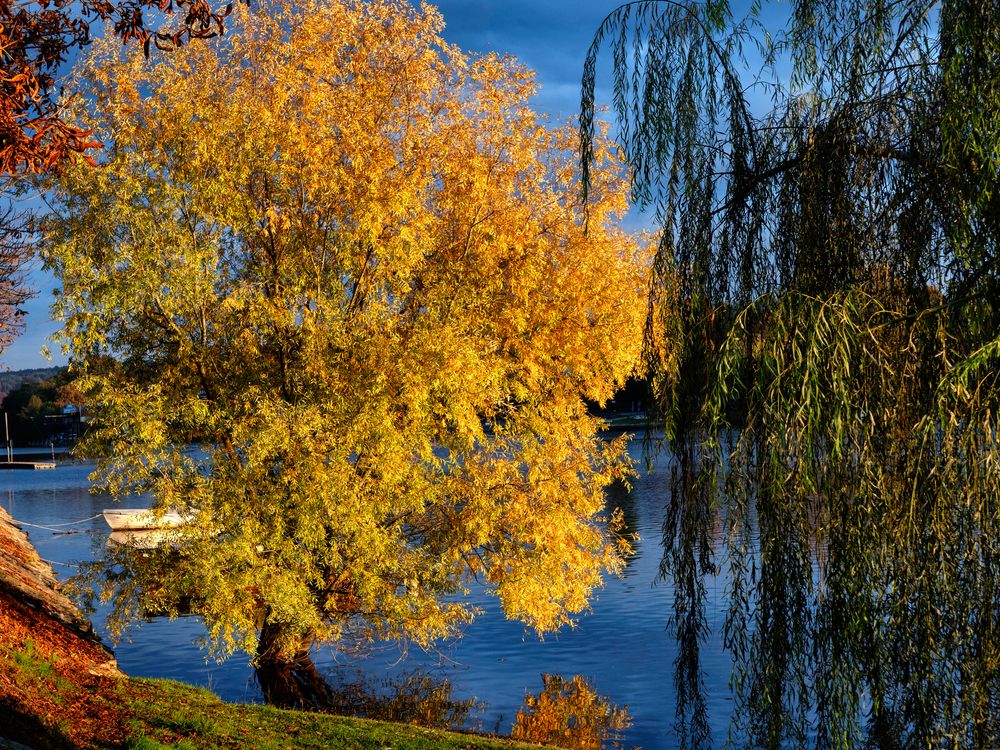 Autunno sul Ticino