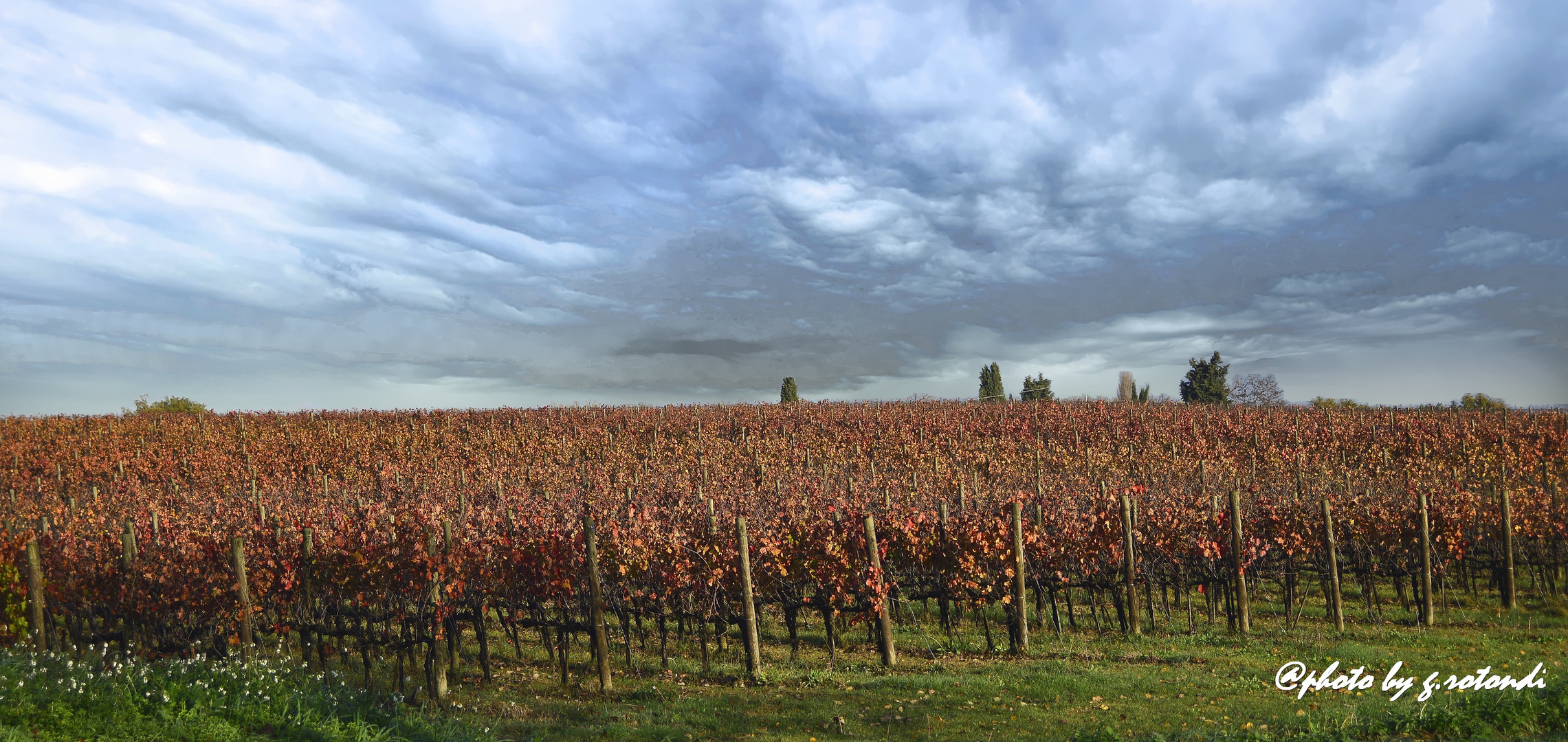 Autunno sulla strada del sagrantino!!