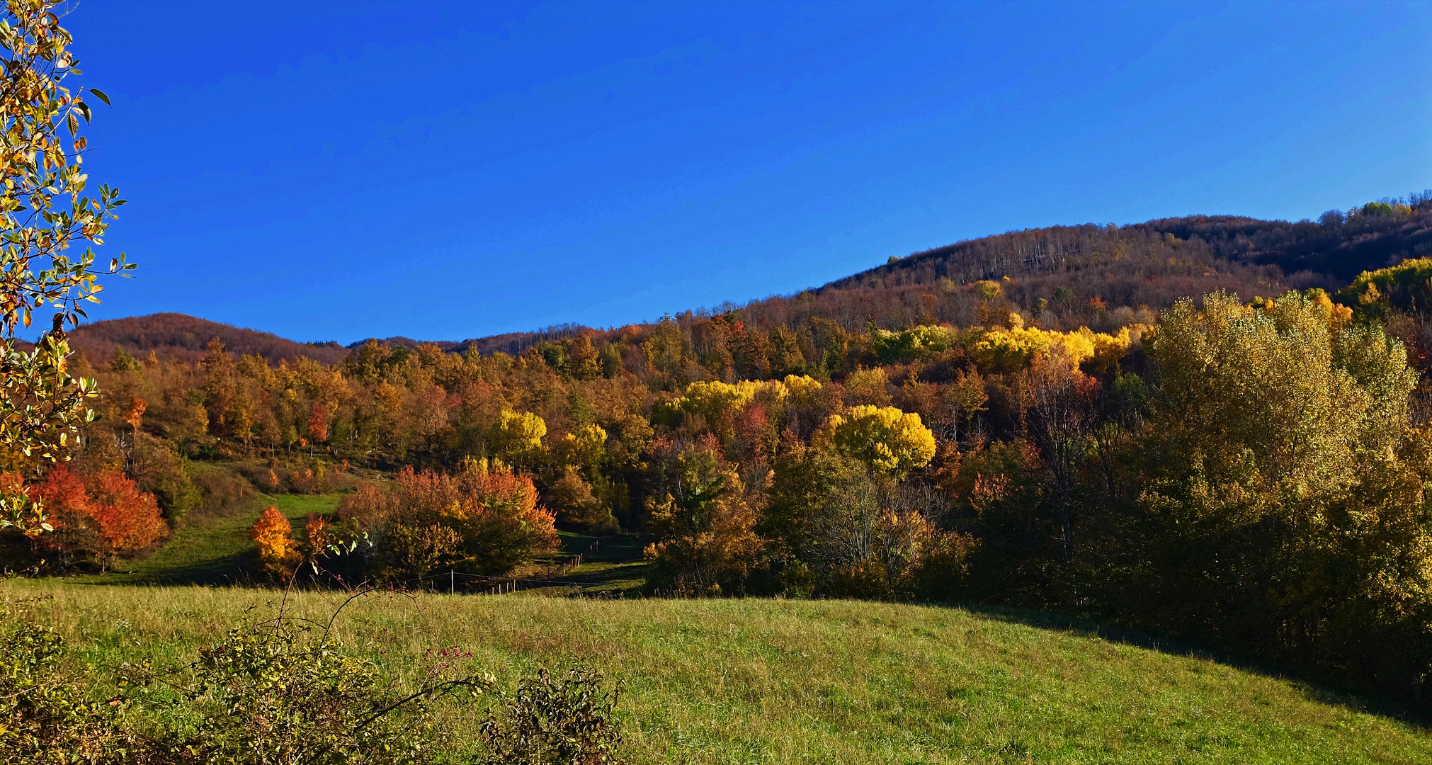 Autunno sull'Appennino / 2