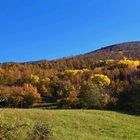 Autunno sull'Appennino / 2