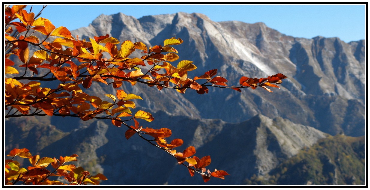 Autunno sulle Apuane