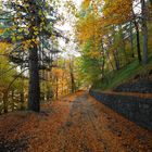 Autunno sull'Etna