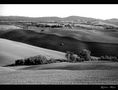 Autunno - Terre di Siena in bw von Guglielmo Rispoli 