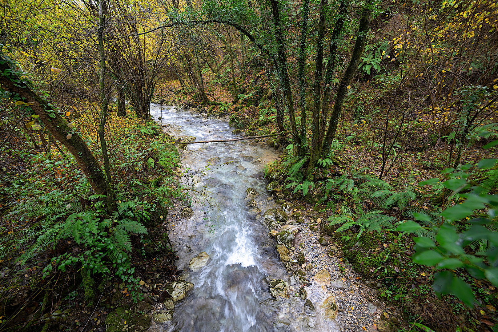 Autunno - Torrente