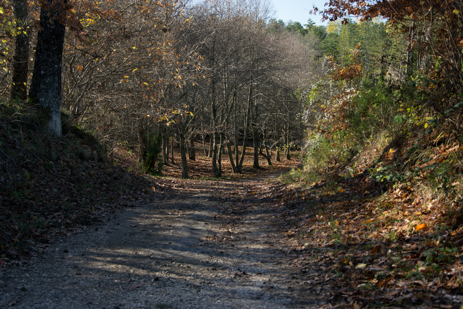 Autunno viterbese