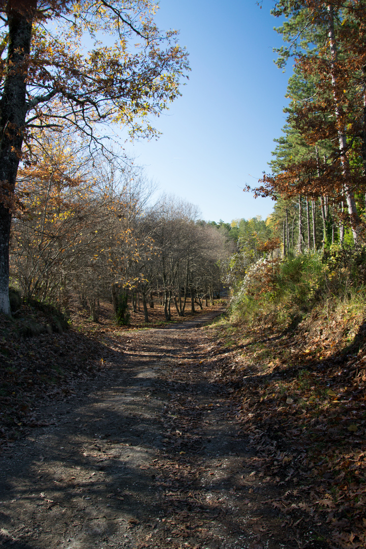 Autunno viterbese