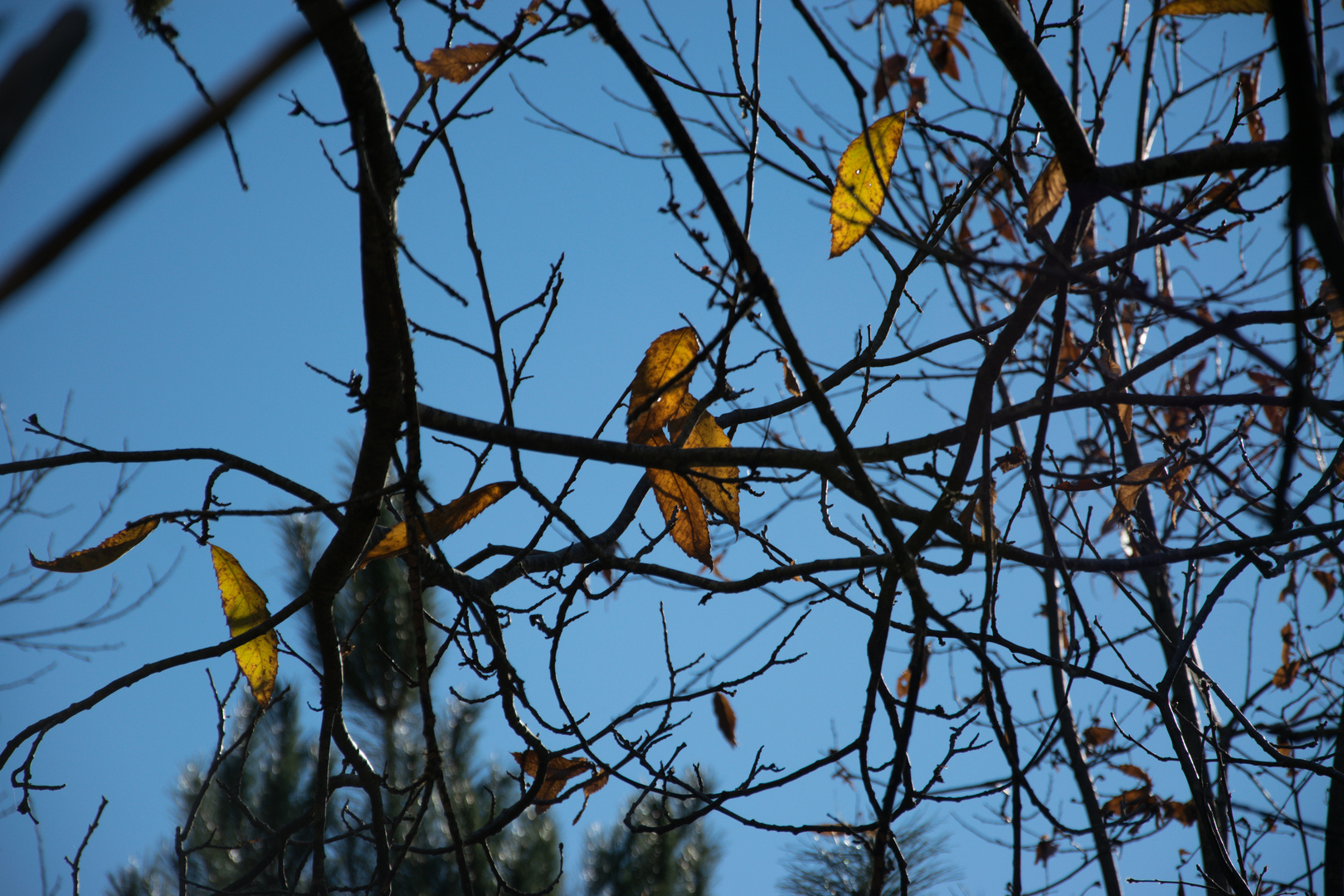 Autunno viterbese