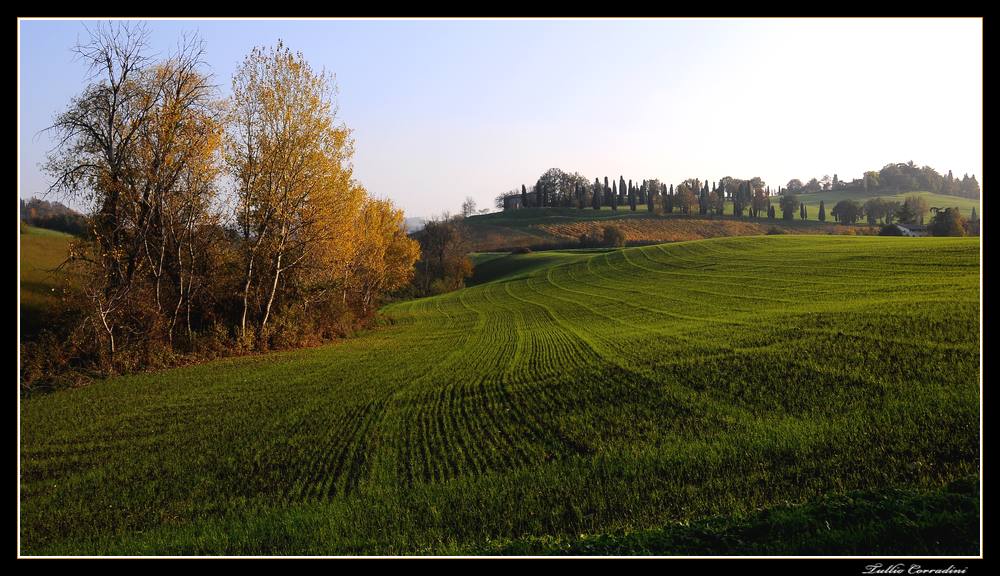 ..autunno..in collina..