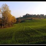 ..autunno..in collina..