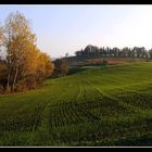 ..autunno..in collina..