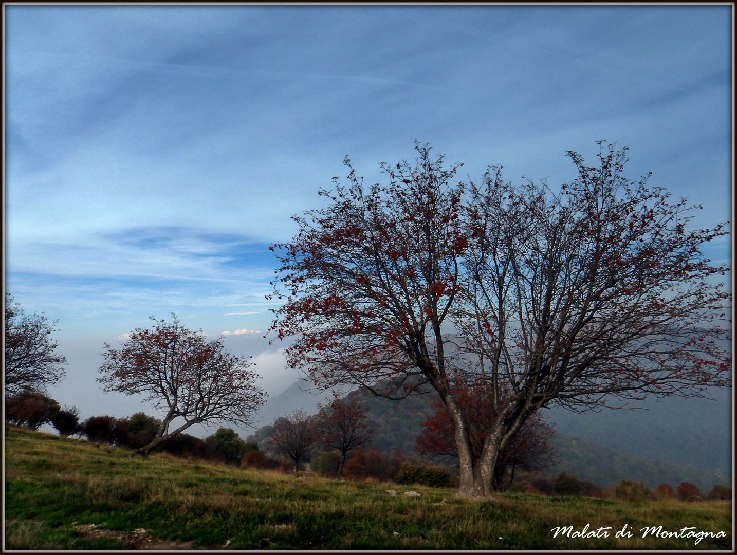 ...autunno...sul monte Palanzone...