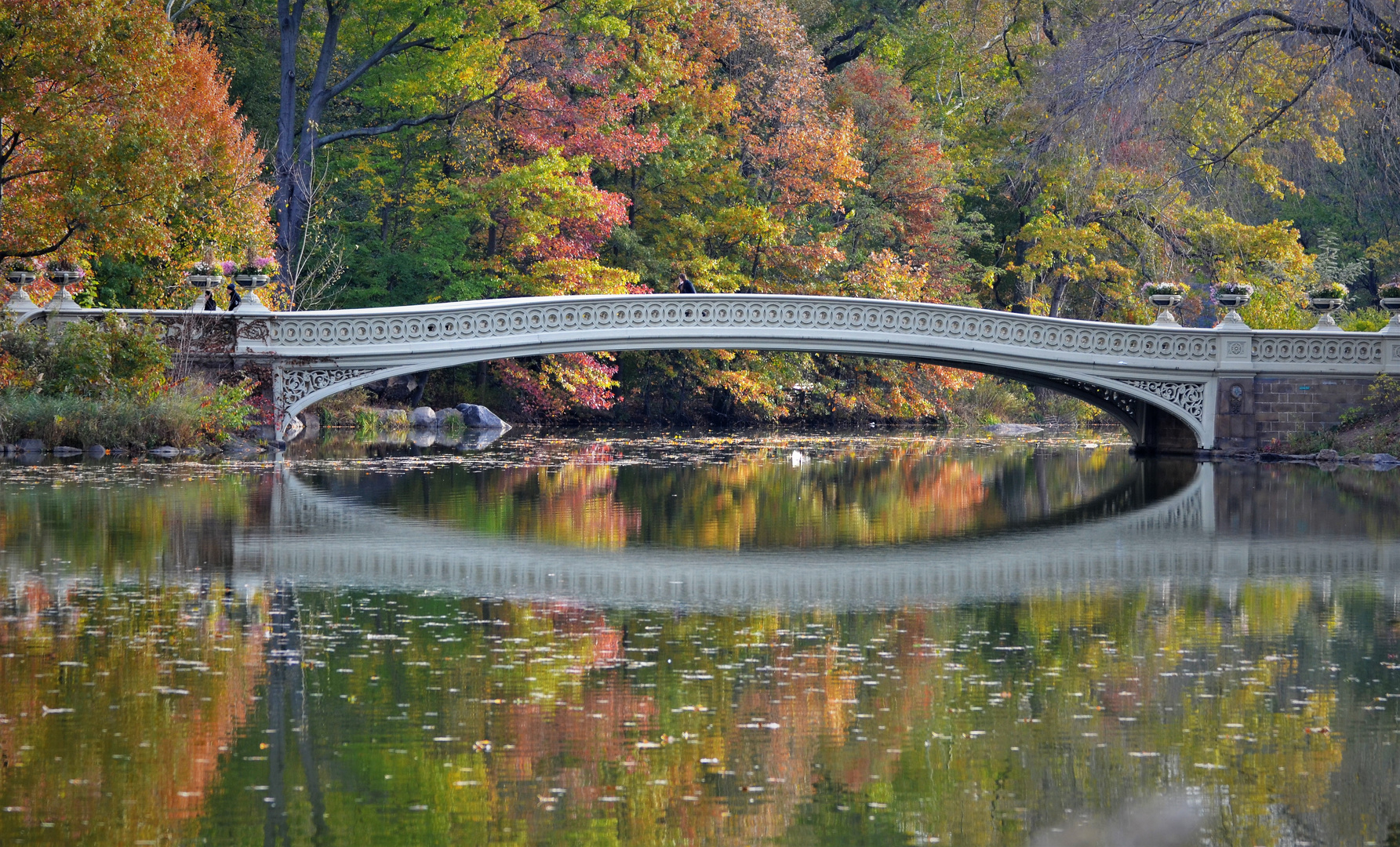 Autuum New York Central Park 