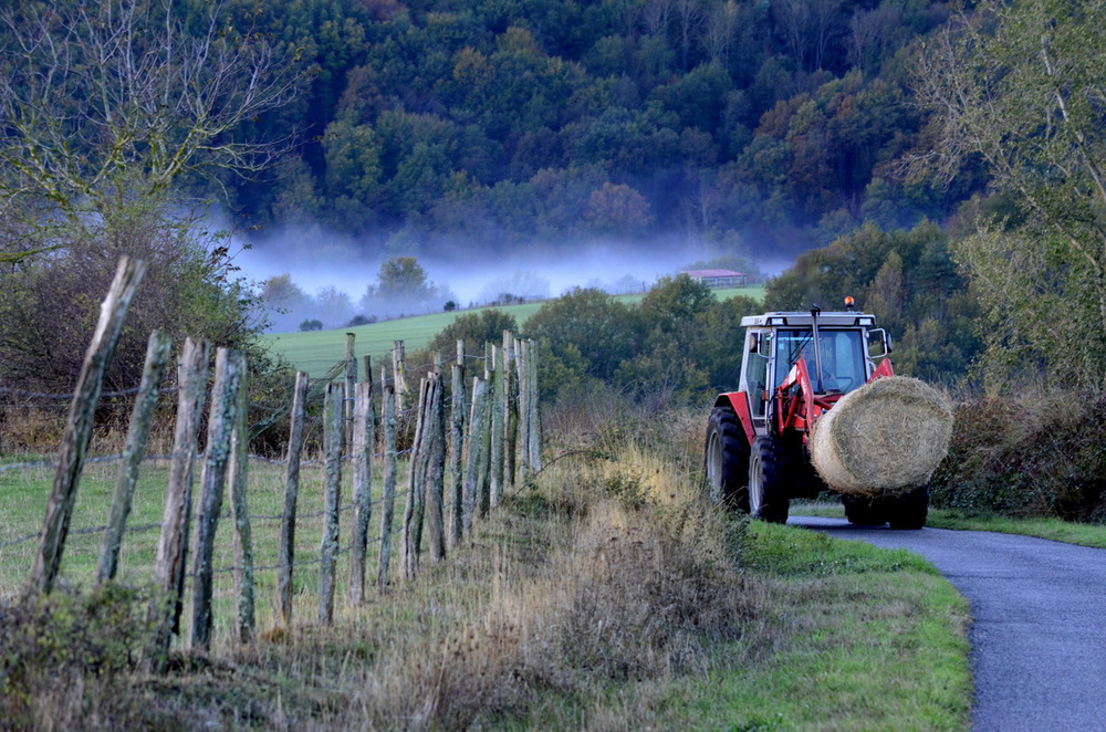 Auvergne