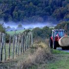 Auvergne