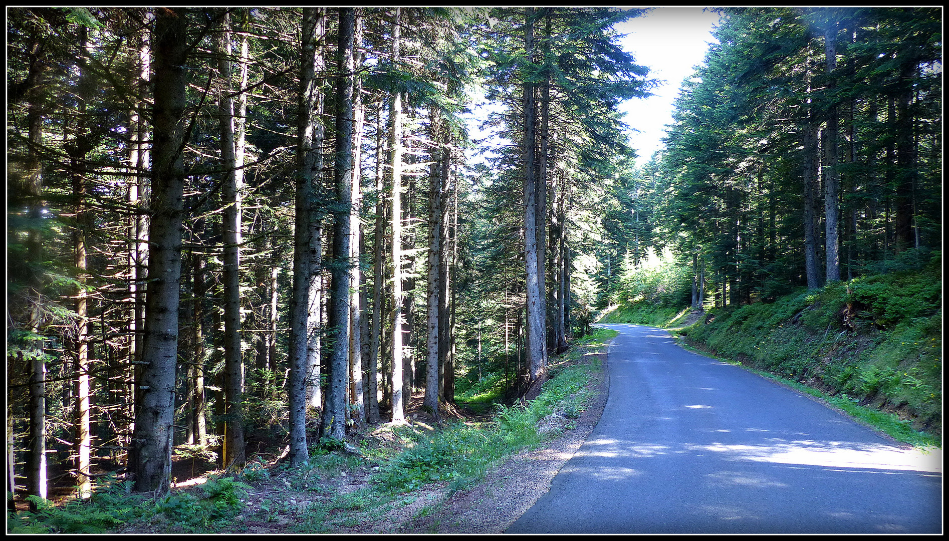 Auvergne