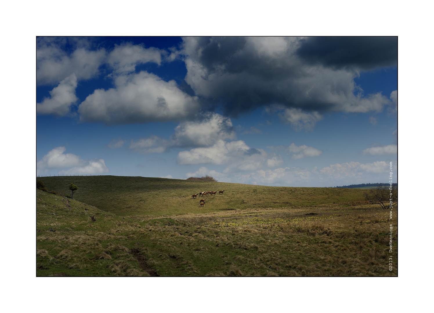 Auvergne