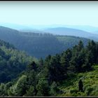 Auvergne .........