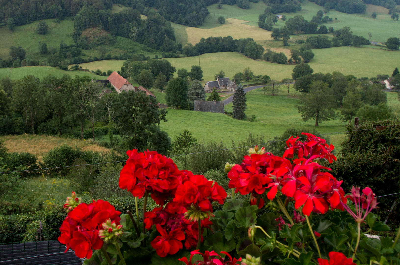 Auvergne fleurie...
