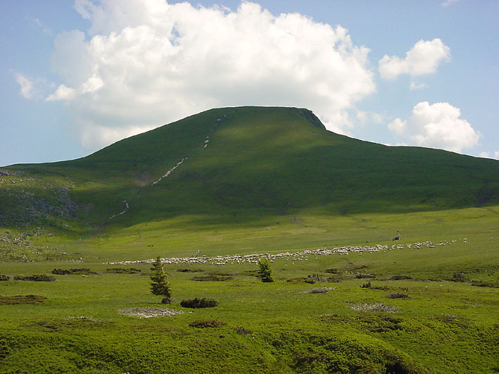 Auvergne (Hügel)