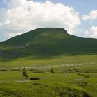 Auvergne (Hügel)