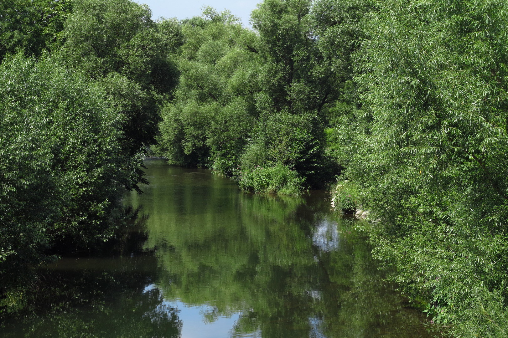 Auwald an der Ruhr in Arnsberg