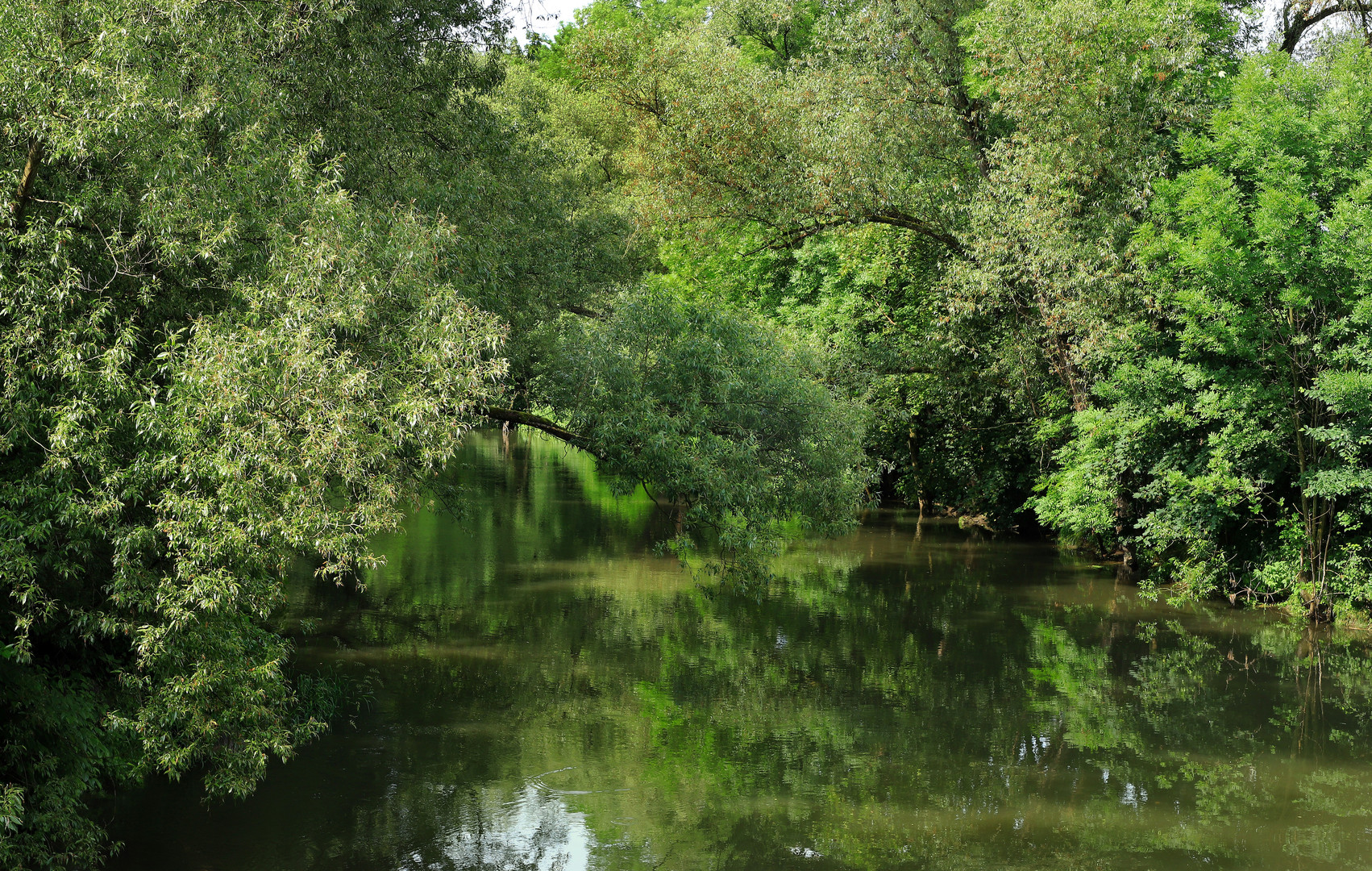 Auwald an der Ruhr in Arnsberg