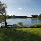 Auwaldsee 1