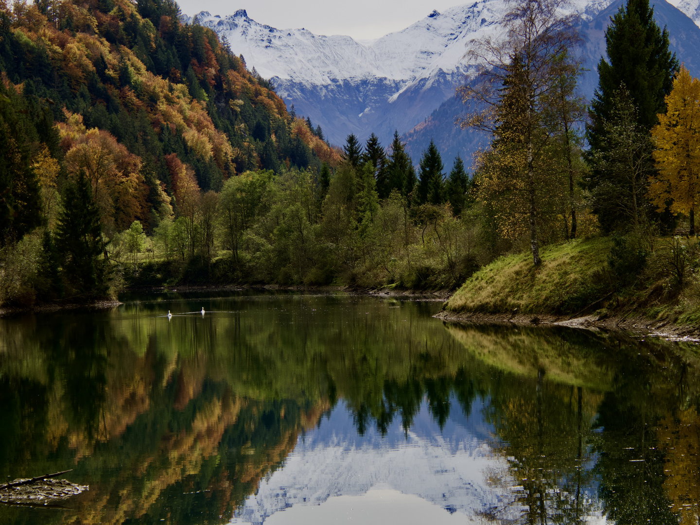 Auwaldsee