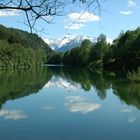 Auwaldsee bei Fischen