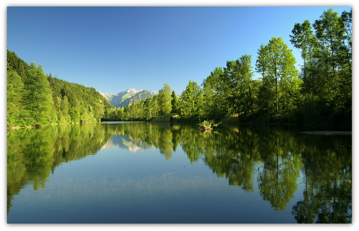 Auwaldsee