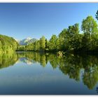 Auwaldsee