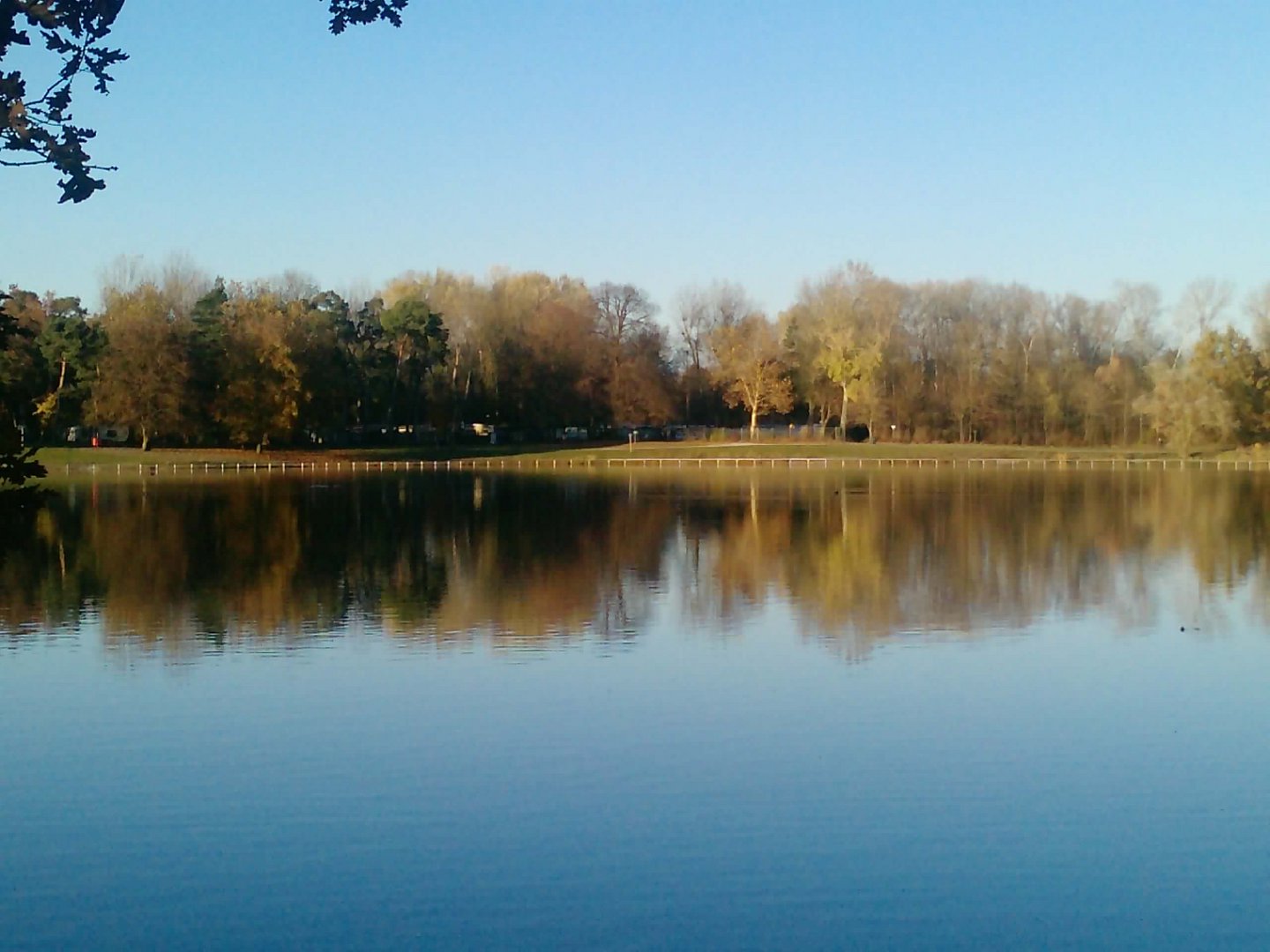 Auwaldsee in Ingolstadt