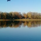 Auwaldsee in Ingolstadt