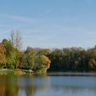 Auwaldsee01