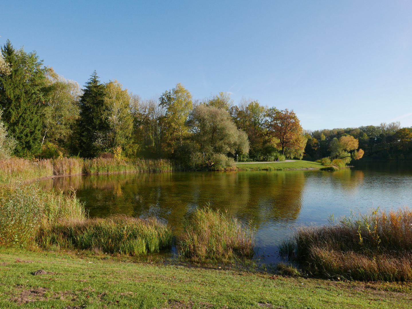 Auwaldsee02