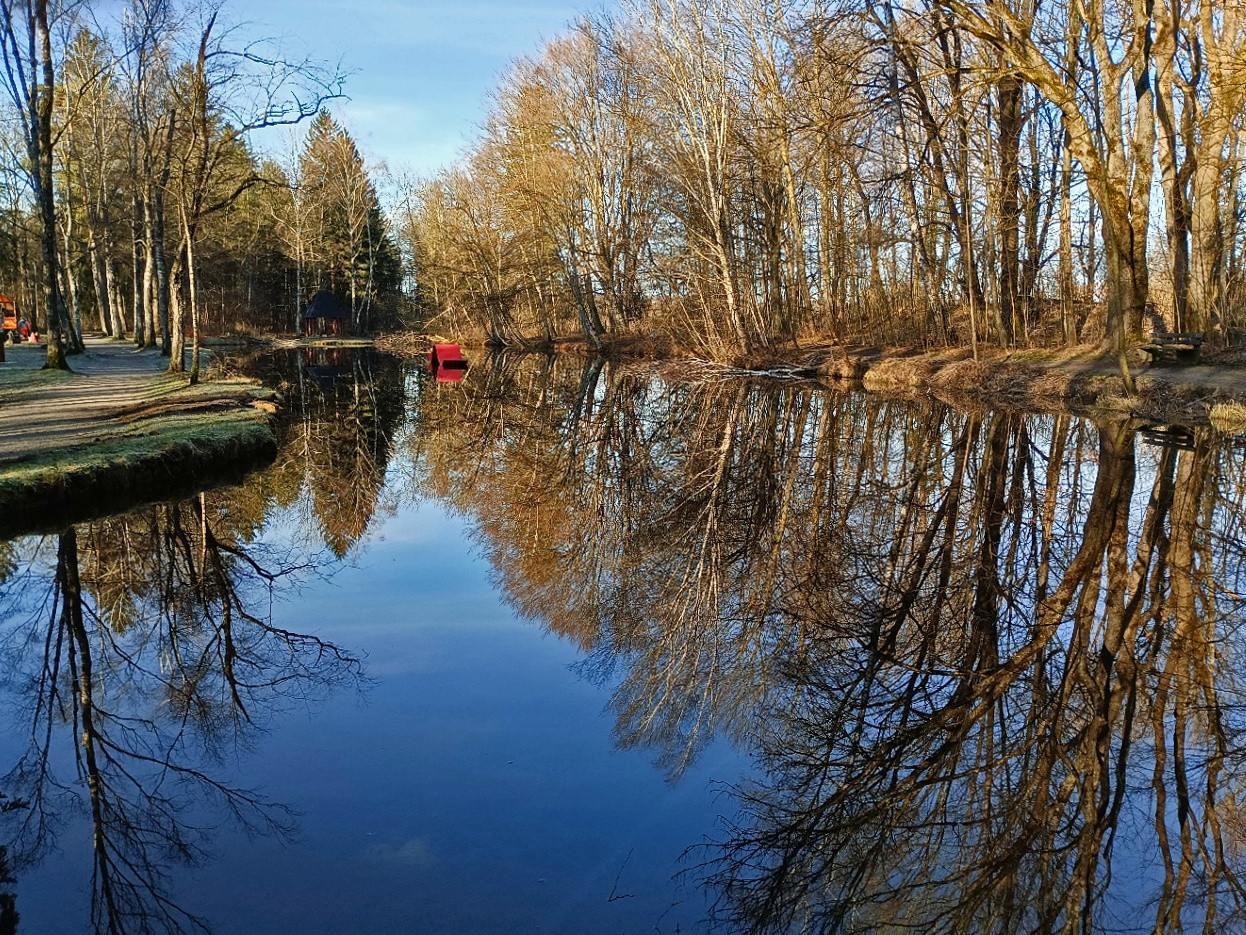 Auwaldweiher