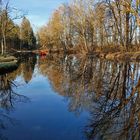 Auwaldweiher